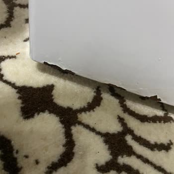 Vestel Buzdolabında Boya Sorunu