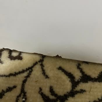 Vestel Buzdolabında Boya Sorunu