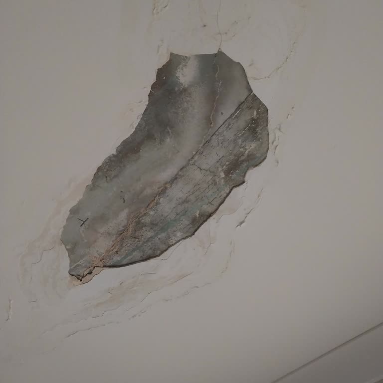 Waw480 Dairemizde Bitmeyen Sorunlar