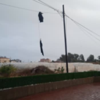 Fırtına Sonrası Tehlike: İhmal Edilen Direkler
