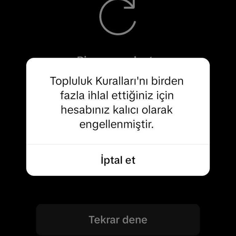 TikTok Hesabına Erişim Sorunu