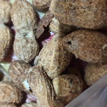 Bayat Ve Kurtlu Yer Fıstığı Şikayeti