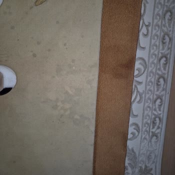 Gülce Halı Koltuk Yıkama (Buca) Şikayeti