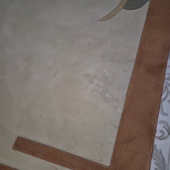 Gülce Halı Koltuk Yıkama (Buca) Şikayeti