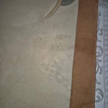 Gülce Halı Koltuk Yıkama (Buca) Şikayeti