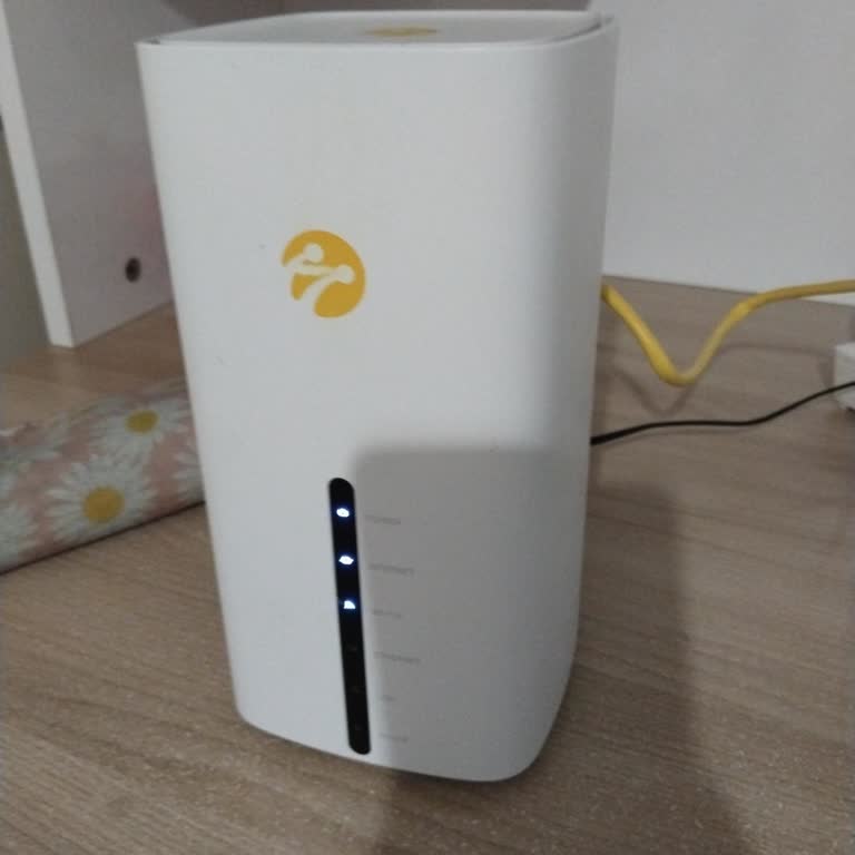 İnternet Bağlantı Sorunu Ve Müşteri Hizmetleri Desteği