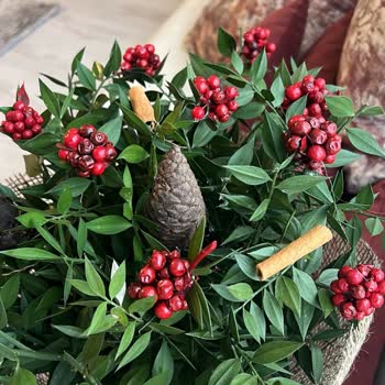 Çürümüş Çiçek Ve İletişimsizlik Sorunu