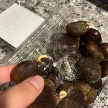 Küflü Kestane Ve Gıda Güvenliği Sorunu