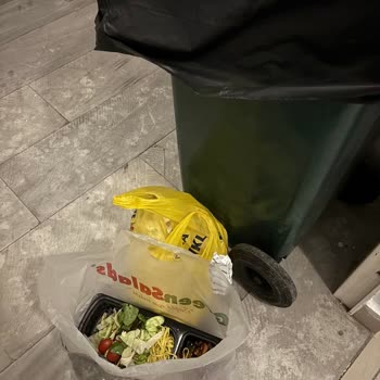 Salatada Dev Böcek Şoku: Green Salads Güvenilir Mi