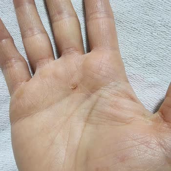 Tabiat Binicilik Merkezi (Kazancı - Bursa) Hizmetinden Memnun Kalmadık