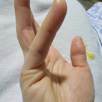 Tabiat Binicilik Merkezi (Kazancı - Bursa) Hizmetinden Memnun Kalmadık