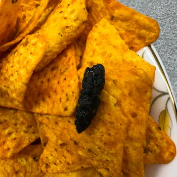 Doritos Paketinden Çıkan Şüpheli Madde