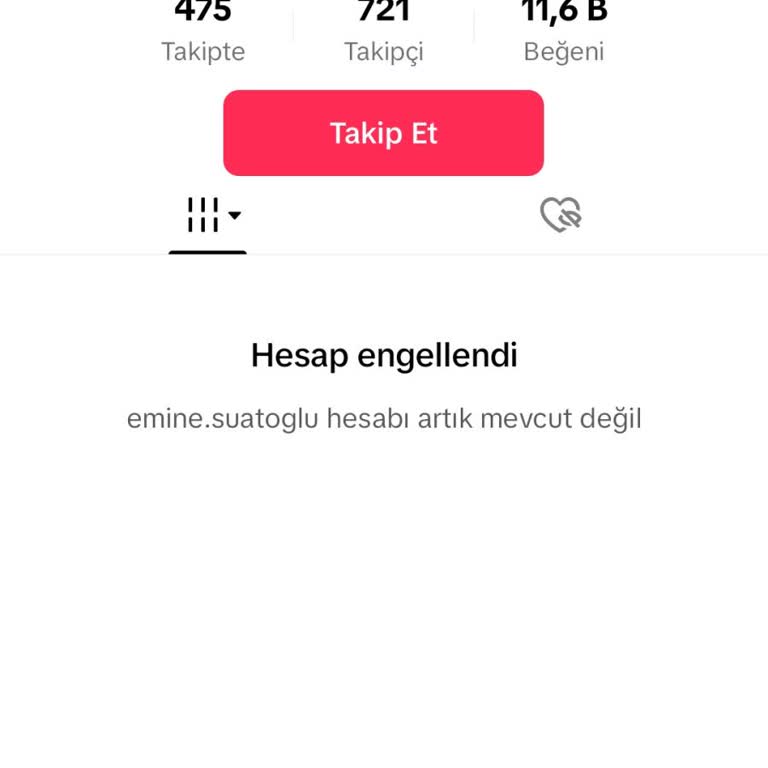 TikTok Haksız Hesap Kapatma Ve Adalet Talebi