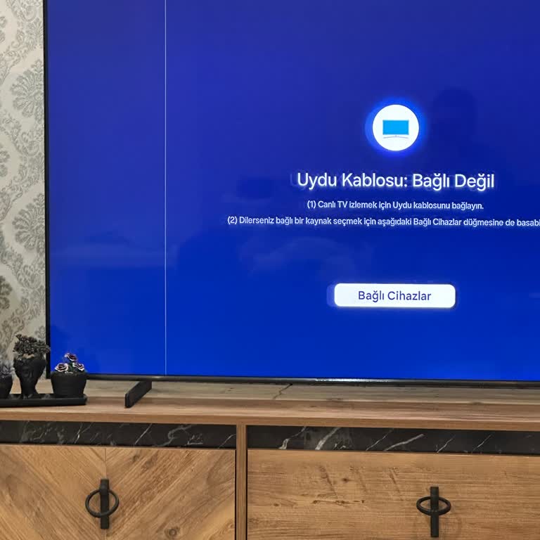 Samsung QLED TV'de Tekrarlayan Sarı Çizgi Sorunu