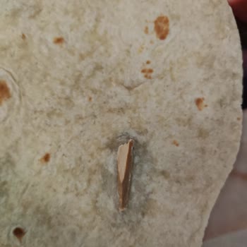 Tortilla Ekmeğinde Tahta Parçası Şoku