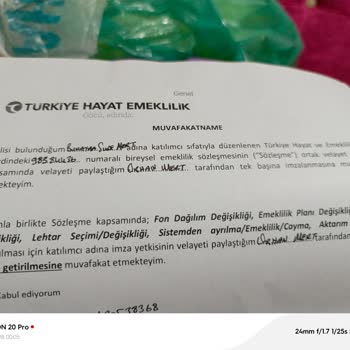Türkiye Hayat Emeklilik İptal Sürecinde Yaşanan Zorluklar