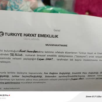 Türkiye Hayat Emeklilik İptal Sürecinde Yaşanan Zorluklar
