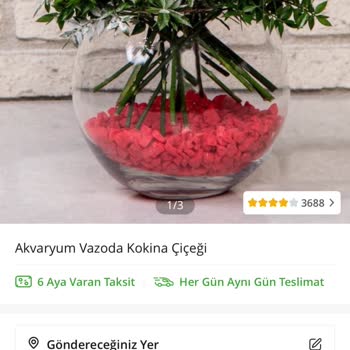 Çiçek Siparişimde Büyük Hayal Kırıklığı: Yanlış Ve Özensiz Teslimat