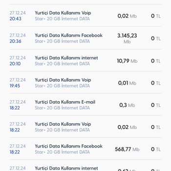 Haksız İnternet Kullanımı: Facebook Uygulaması Olmadan GB Tükenmesi