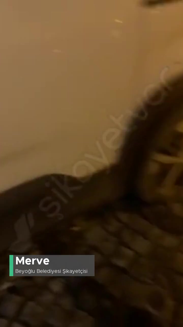 Beyoğlu Belediyesi Yollarda Girilmez Yazısının Olmaması videonun kapak resmi