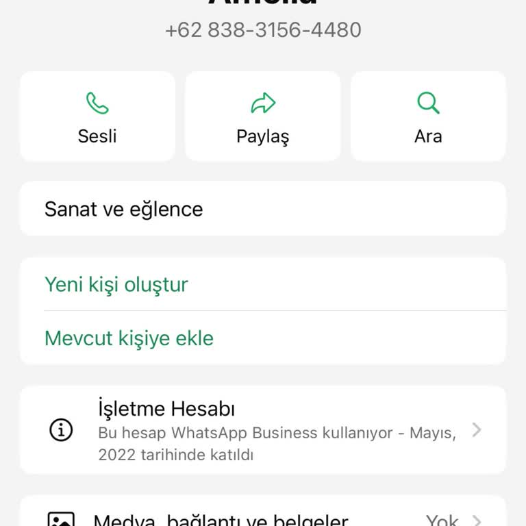WhatsApp'ta Sahte İşletme Hesabından Gelen Mesaj Tehlikesi