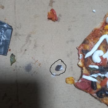 Pizza Siparişimde Tehlikeli Zeytin Çekirdeği