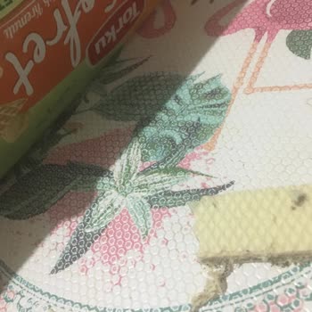 Torku Gofret Kurtlandı: Çocuklarımızın Sağlığı Tehlikede!