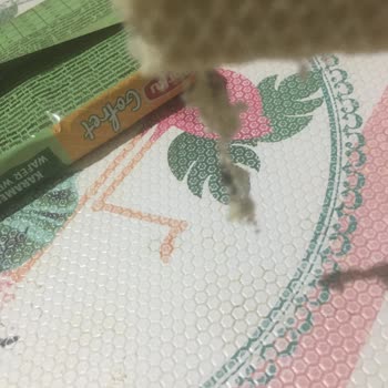 Torku Gofret Kurtlandı: Çocuklarımızın Sağlığı Tehlikede!