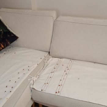 Ürün Kalitesi Ve Teknik Destek Sorunu