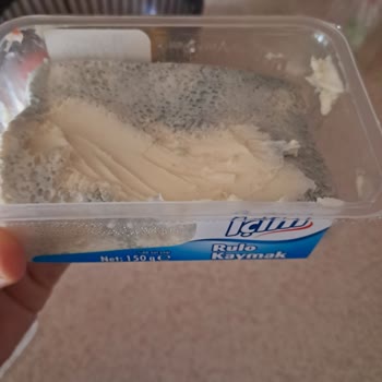 Son Kullanma Tarihi Geçmemiş Kaymakta Küf Sorunu