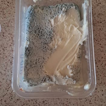 Son Kullanma Tarihi Geçmemiş Kaymakta Küf Sorunu