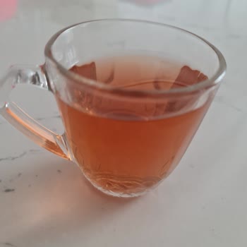 Zühre Ana'dan Hayal Kırıklığı: Bozuk Karadut Şerbeti
