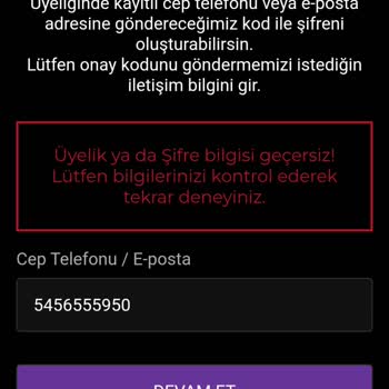 Şifre Yenileme Sorunu