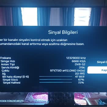 Samsung TV'nin Kronik Sinyal Ve Servis Sorunları