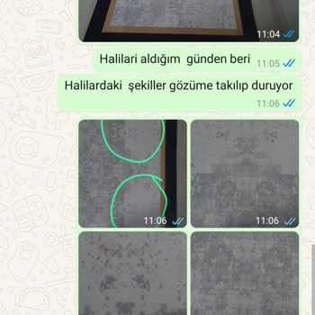 Rosen Home'dan Alınan Halıda Belirgin Figür Sorunu