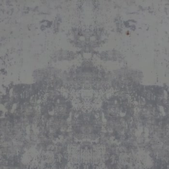 Rosen Home'dan Alınan Halıda Belirgin Figür Sorunu