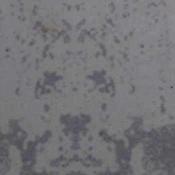 Rosen Home'dan Alınan Halıda Belirgin Figür Sorunu