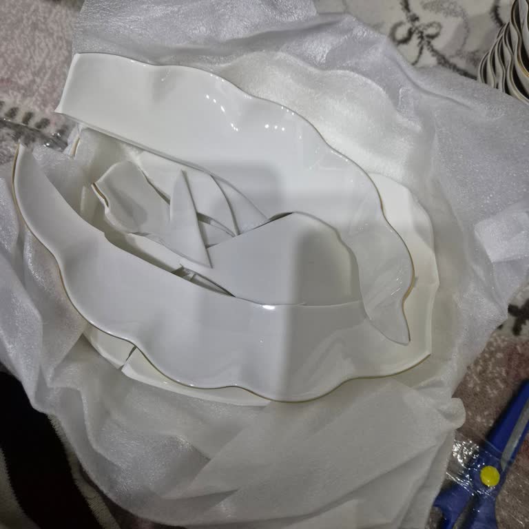 Kırık Tabak Sorunu Ve Yetersiz Müşteri Hizmetleri