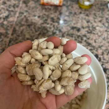 Migros'tan Aldığım Fasulye Paramparça Oldu