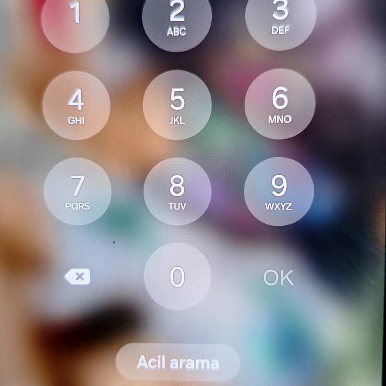 Samsung Telefonumun Şifre Sorunu