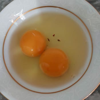 A101 Organik Yumurtalar Hakkında Şok Edici Deneyim