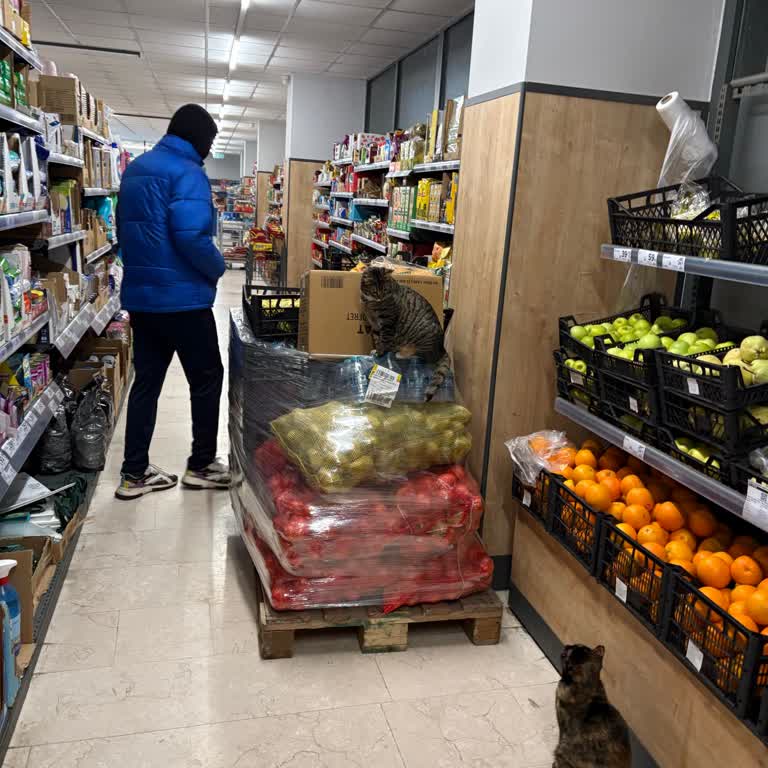 Hijyen Sorunları Nedeniyle Alışverişten Vazgeçme