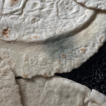Küflü Ürün Şoku: Migros Sanal Market Alışverişi