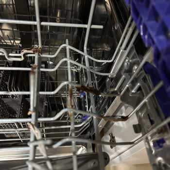 LG D1452CF Bulaşık Makinesi: Bitmeyen Sorunlar Ve Sağlık Tehdidi