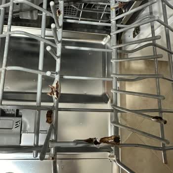 LG D1452CF Bulaşık Makinesi: Bitmeyen Sorunlar Ve Sağlık Tehdidi