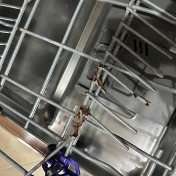 LG D1452CF Bulaşık Makinesi: Bitmeyen Sorunlar Ve Sağlık Tehdidi