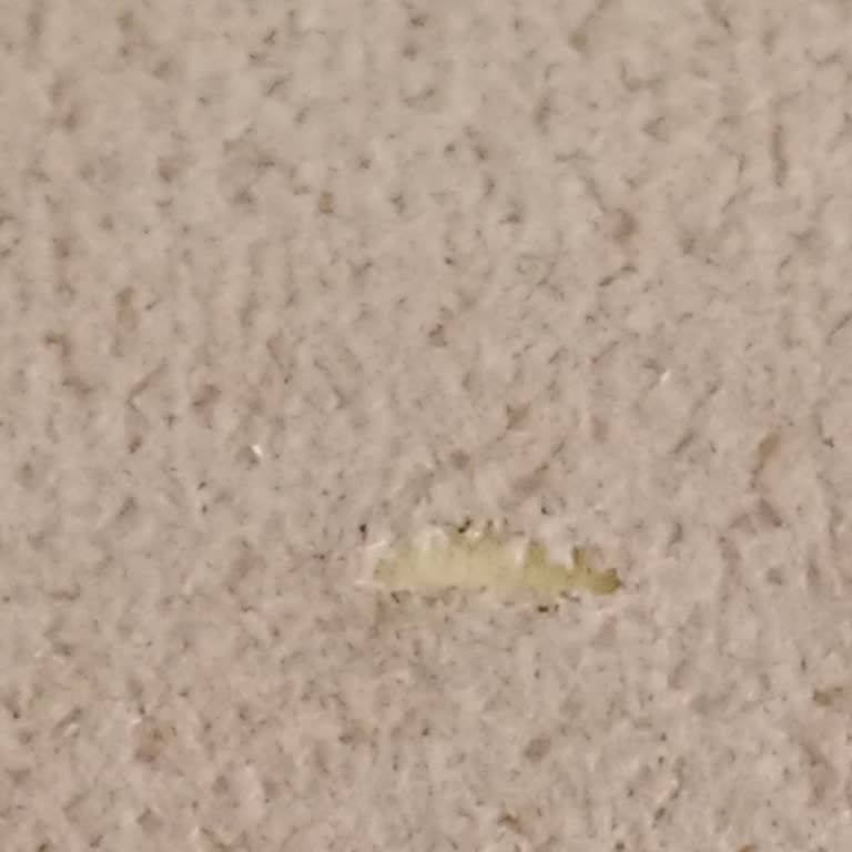 Ürün Kalitesi Ve Müşteri Hizmetleri Sorunu