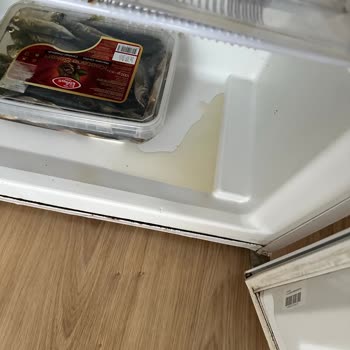 Vestel Derin Dondurucu Ve Teknik Servis Sorunları