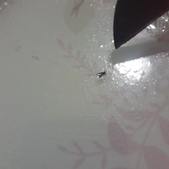 Hindi Salamda Plastik Parça Tehlikesi