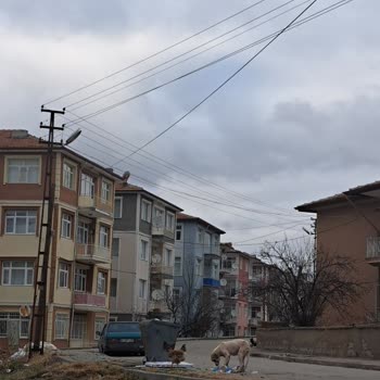 Yerköy'deki Çöp Sorunu Ve Belediye İhmali
